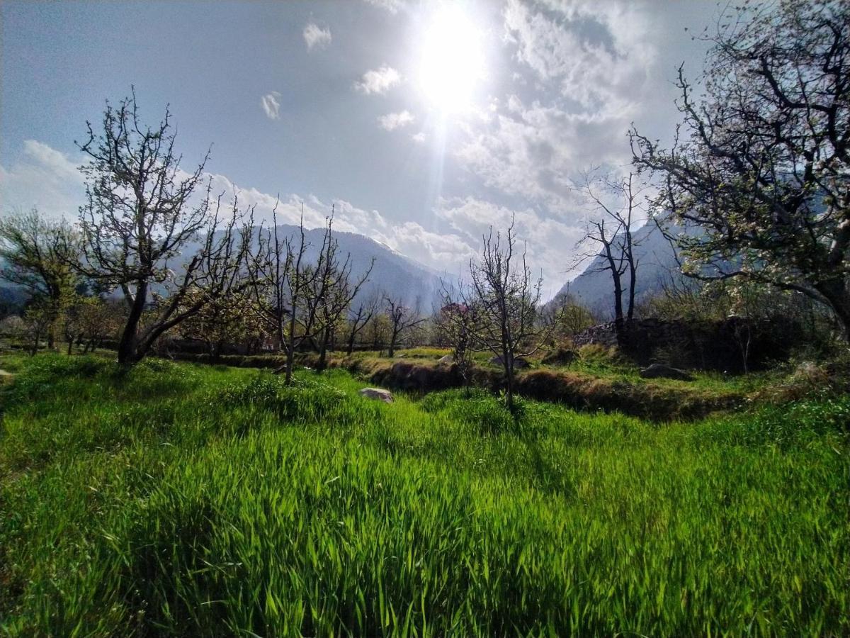 Farm Hostel And Camps Маналі Екстер'єр фото